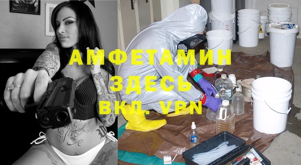 прущие грибы Балабаново