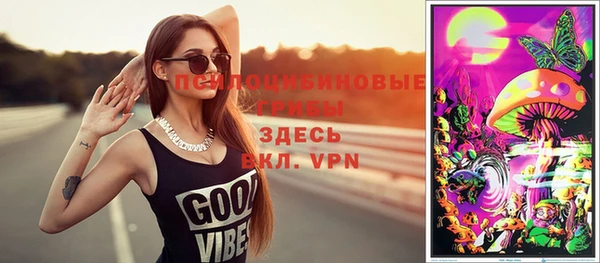 стаф Баксан